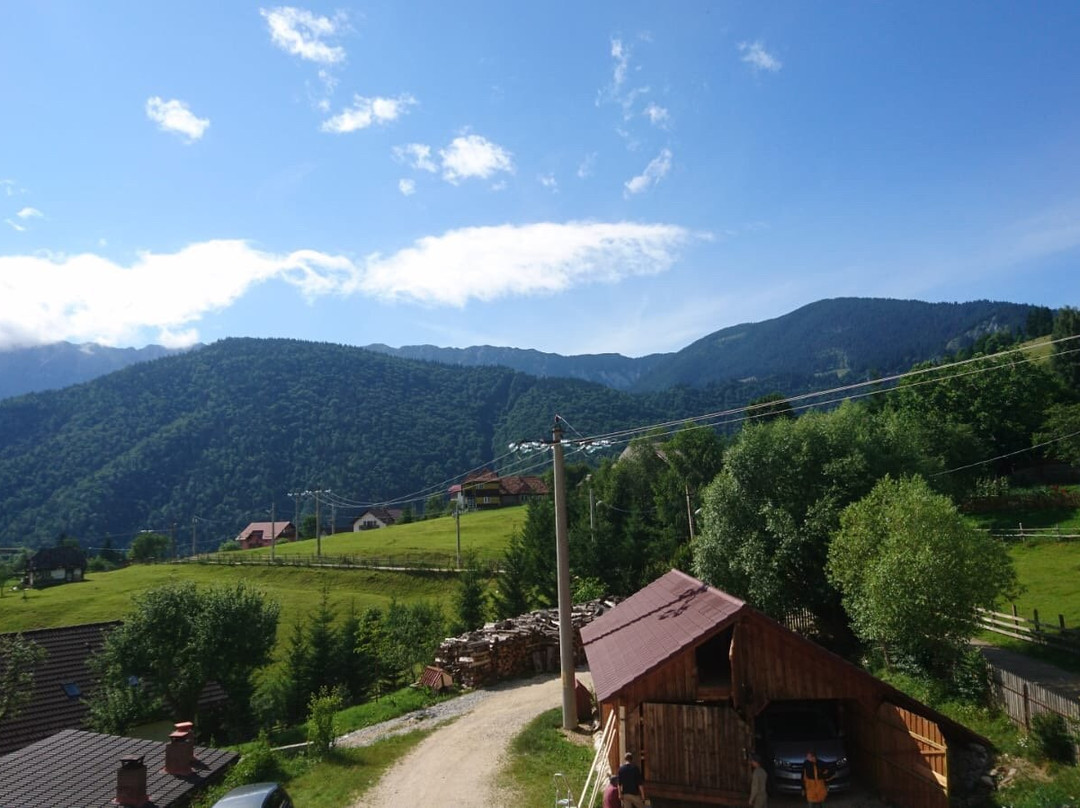 Pension Villa Hermani Magura / Bran主图
