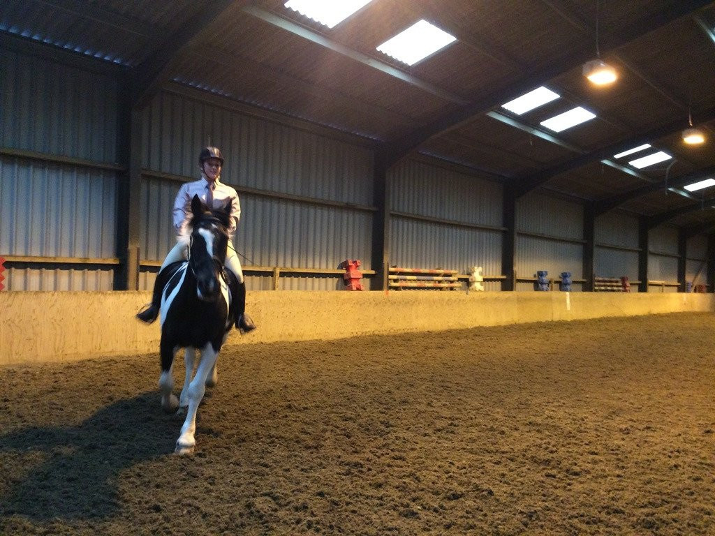 Aberconwy Equestrian Centre景点图片