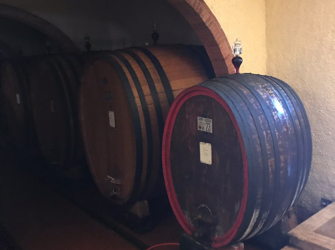 Vineria San Felice景点图片