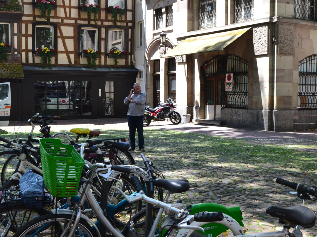 Centre-Ville de Strasbourg景点图片