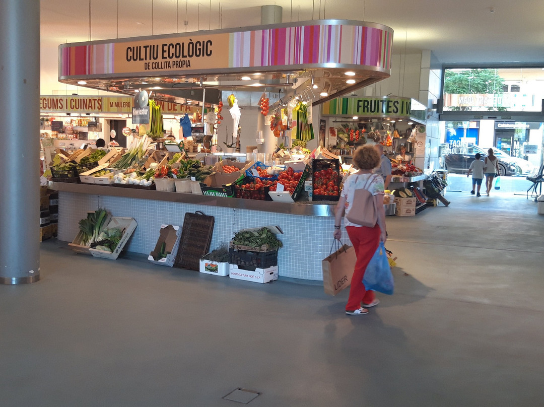 Mercat Municipal景点图片