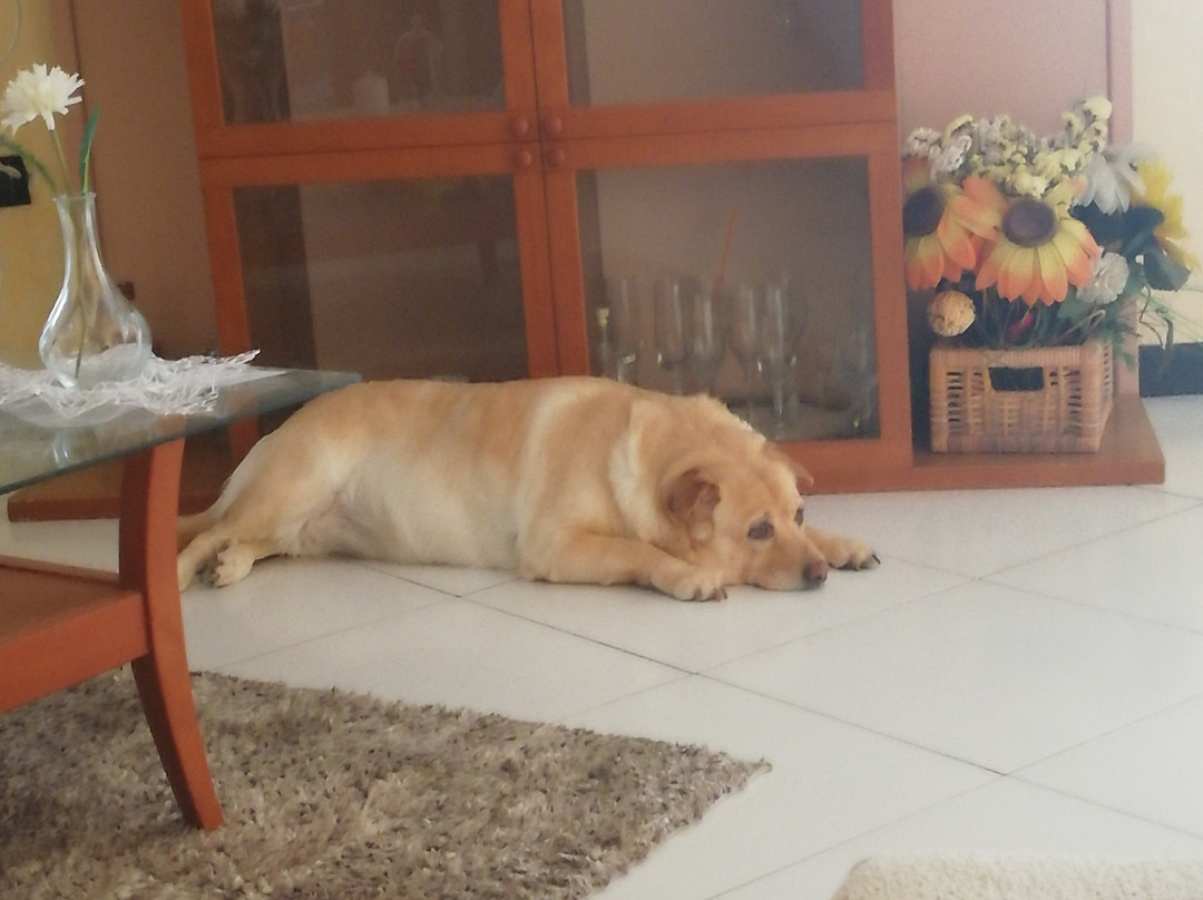 Discobowling Hamburgheria Ucicinemas-卡索里亚必去景点