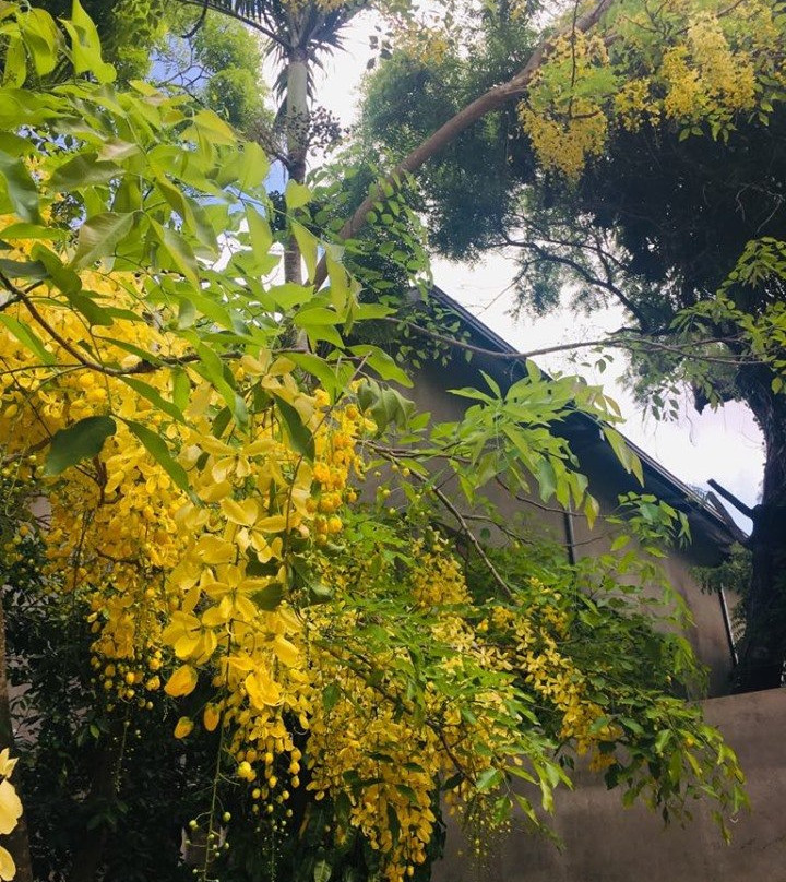 阿拉卡曼达酒店主图