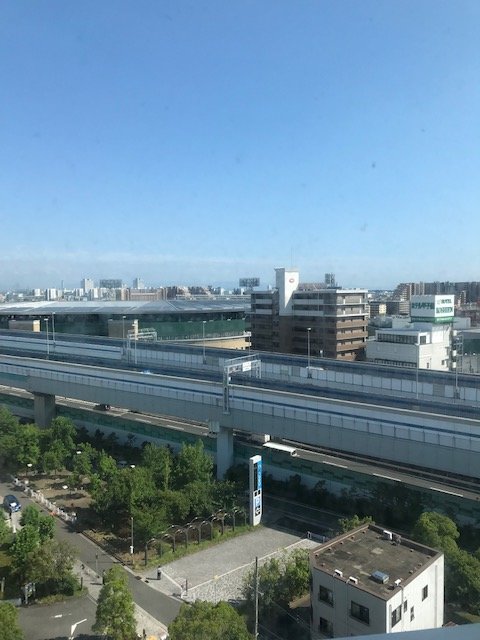Hotel Hewitt Koshien-酒店景观