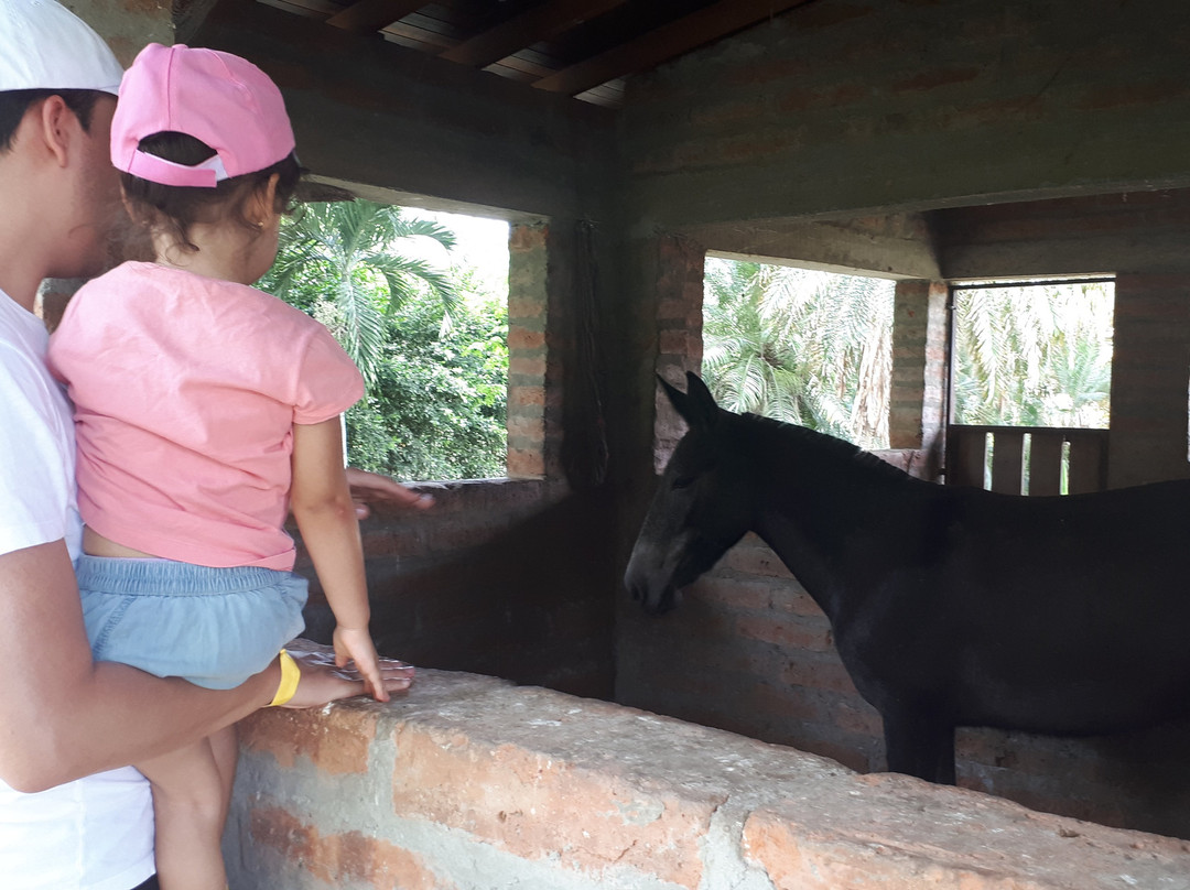 Hotel Spa San Sebastian主图