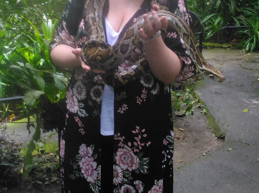 Malaysian Explorations & Adventures-黑风洞必去景点