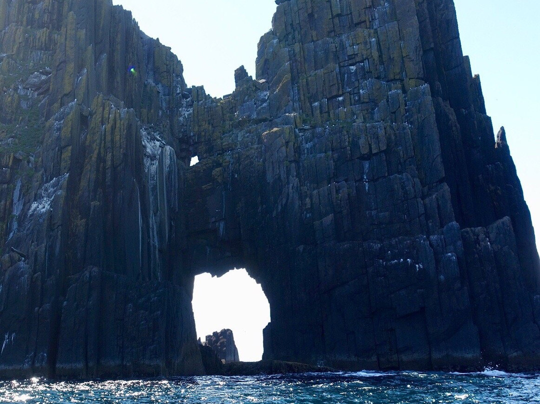 Dingle Sea Safari景点图片