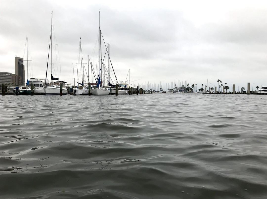Corpus Christi Municipal Marina-科珀斯克里斯蒂市必去景点
