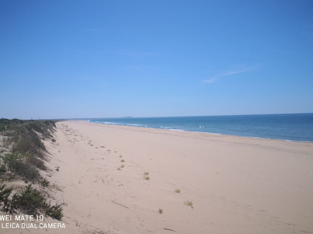 Transbordadores Playas de Cartaya-埃尔龙皮多必去景点