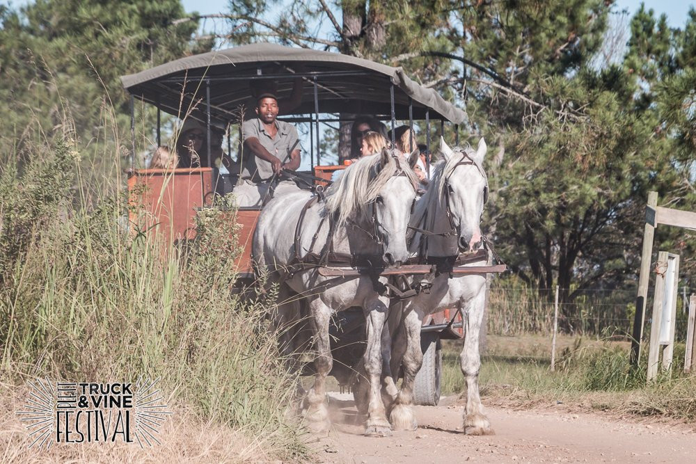 Hog Hollow Horse Trails-The Crags必去景点