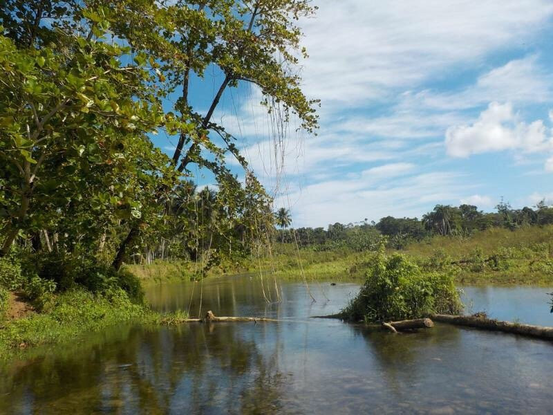 Veragua旅游攻略图片