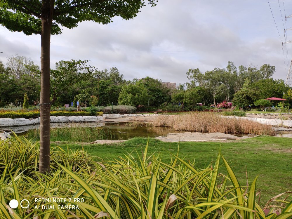Hyderabad Botanical Gardens-海德拉巴必去景点