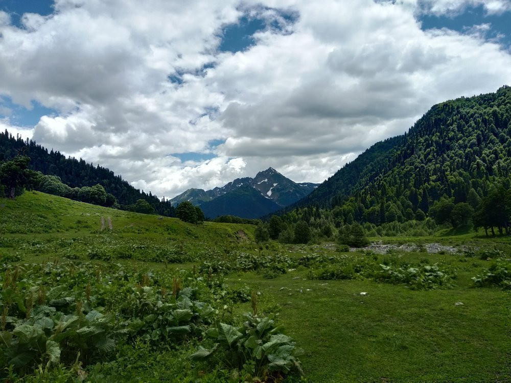 Alpine Meadows of Abkhazia景点图片