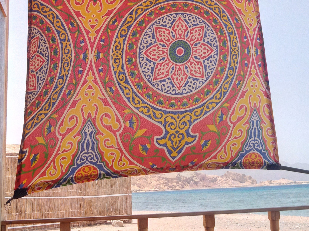 Live The Bedouin Life