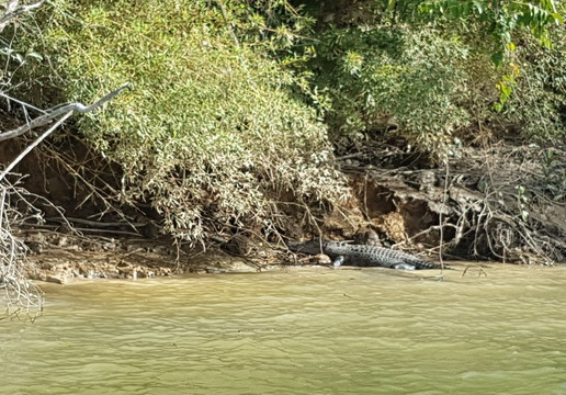 Cape Trib Connections - Day Tours-凯恩斯必去景点
