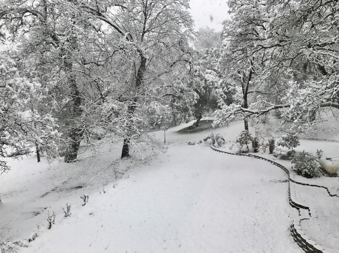 优胜美地拉温布里克住宿加早餐酒店主图