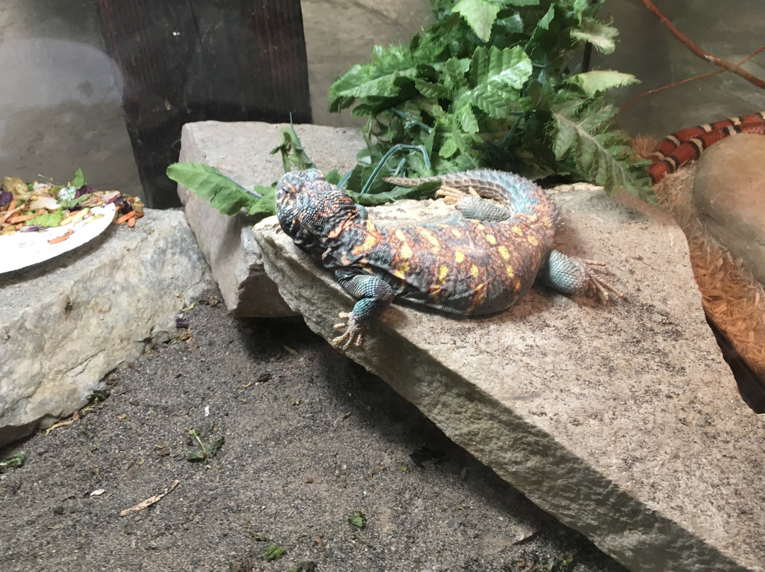 The Reptile Zoo-Monroe必去景点
