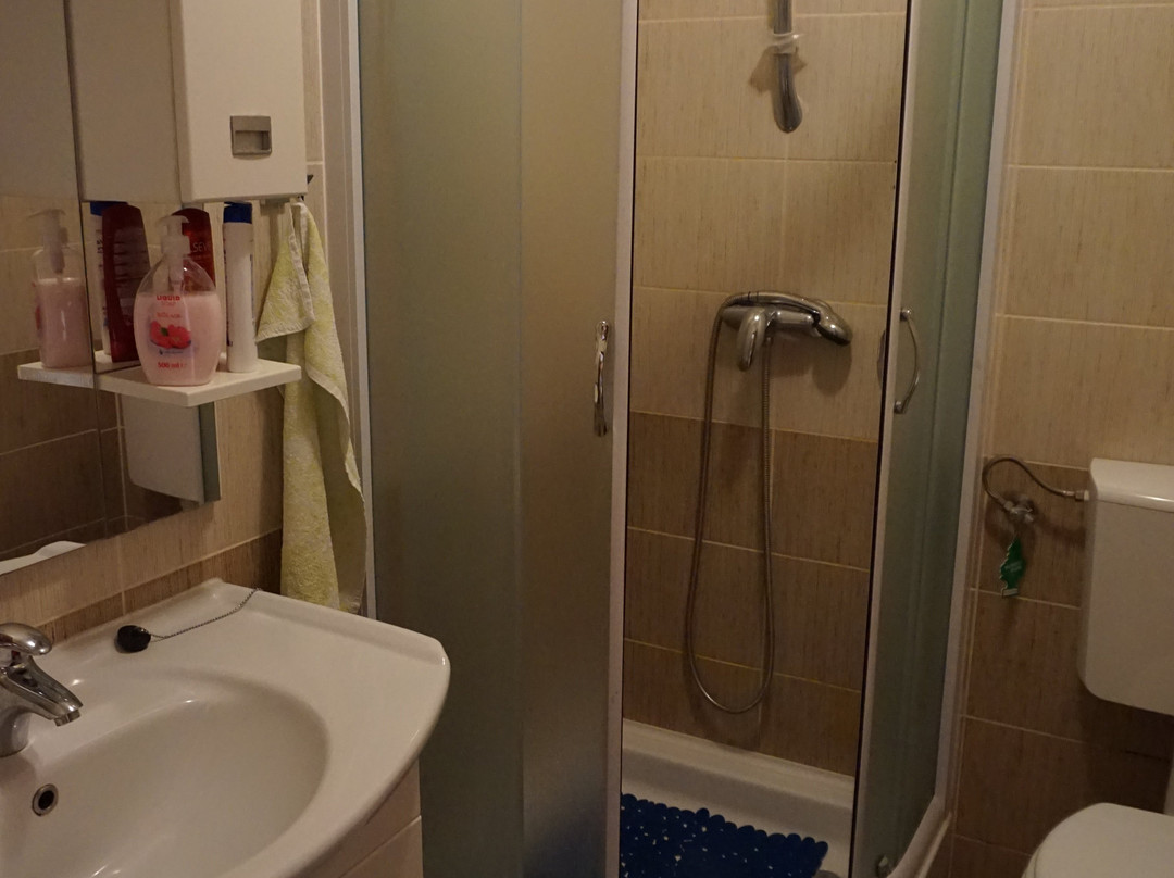 Apartments Lucija主图