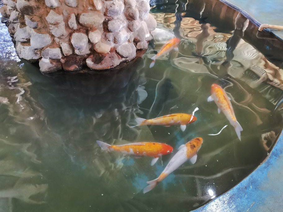 Rancho Tabacon景点图片