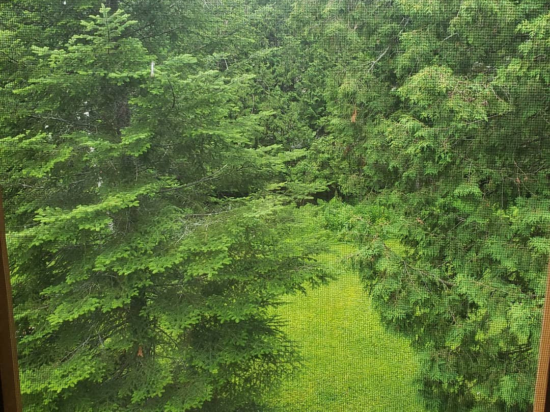 B&B LES DAMES DU LAC主图