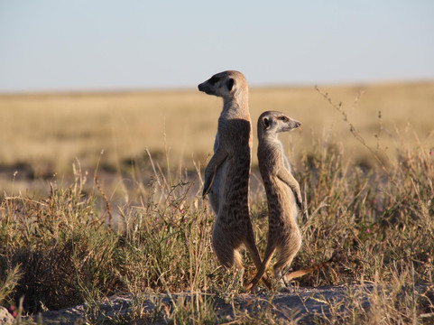 African Wanderer Tours + Safaris-温德和克必去景点