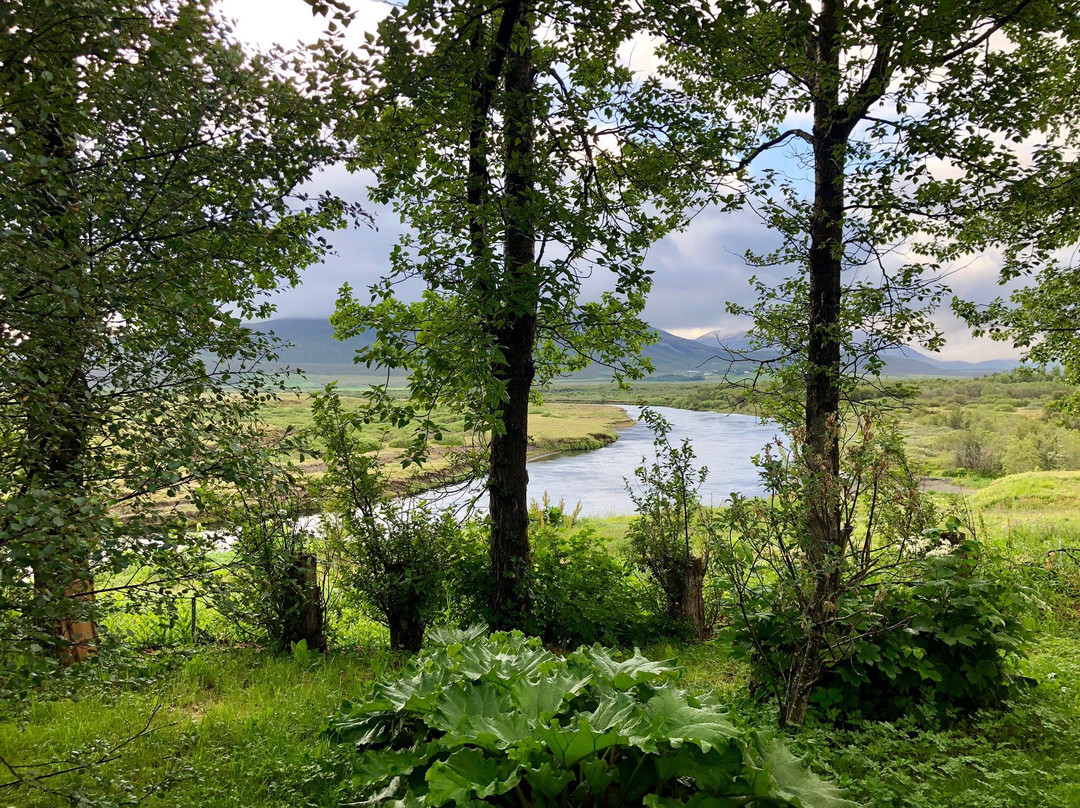 Arbakki Farmhouse Lodge主图