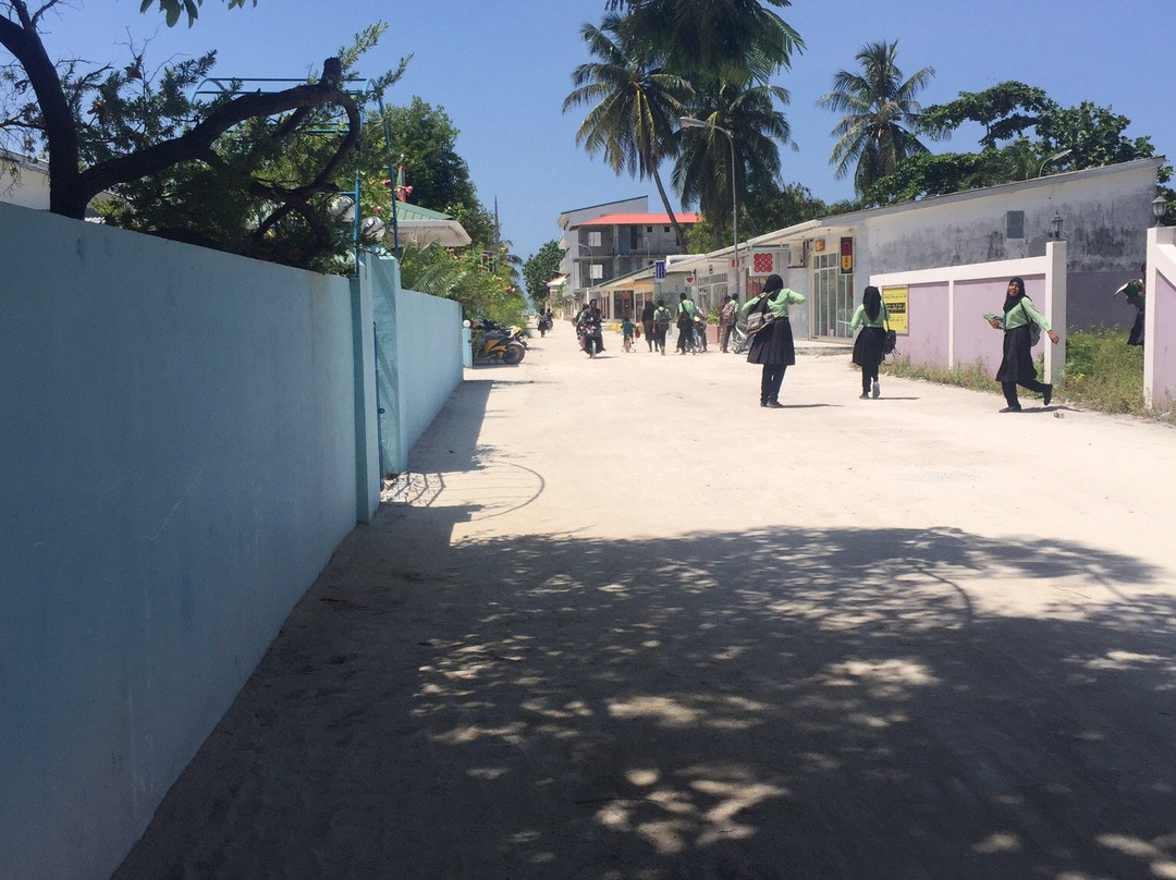 Whale Shark Inn主图