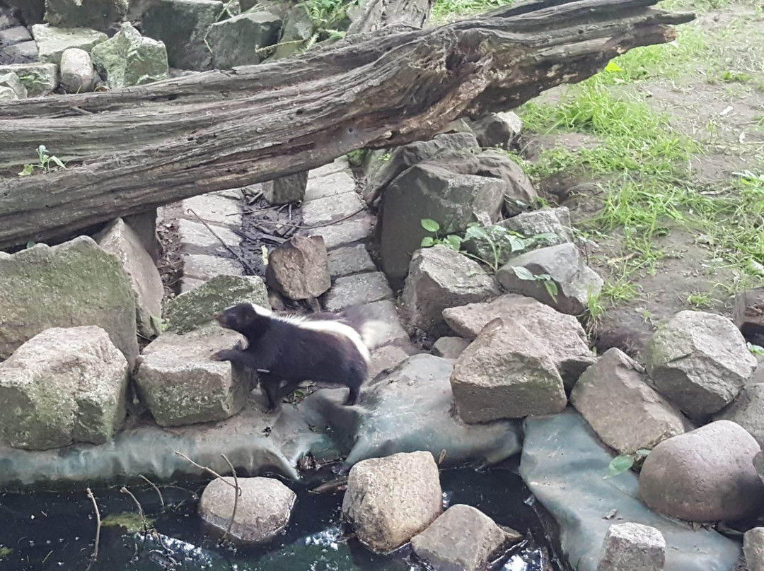 Tierpark Stralsund-施特拉尔松德必去景点