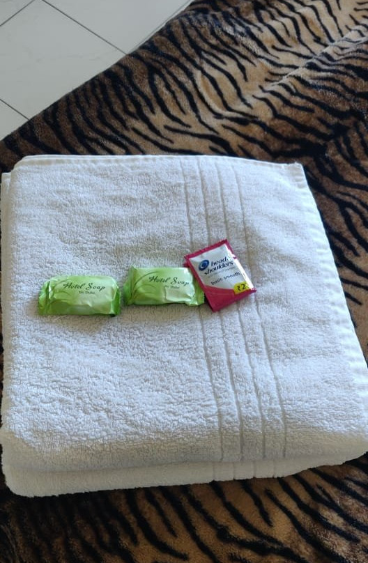 日落大酒店主图