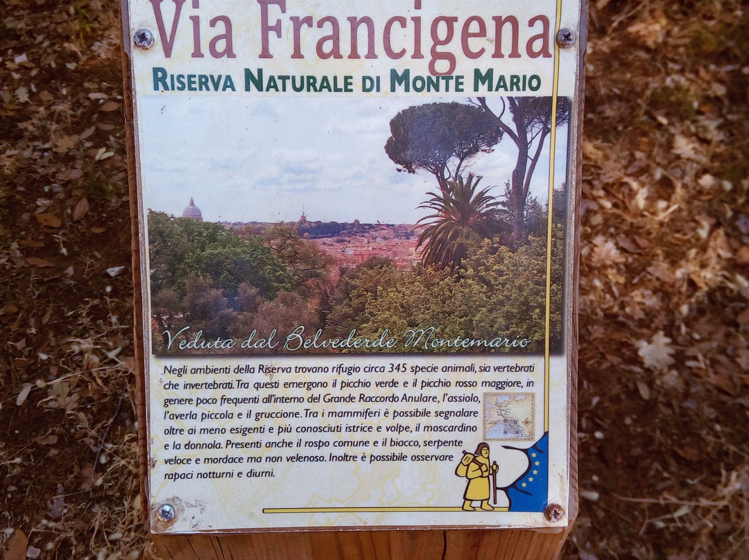 Riserva Naturale di Monte Mario景点图片