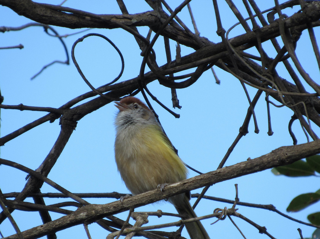 Serra do Gandarela National Park-Itabirito必去景点