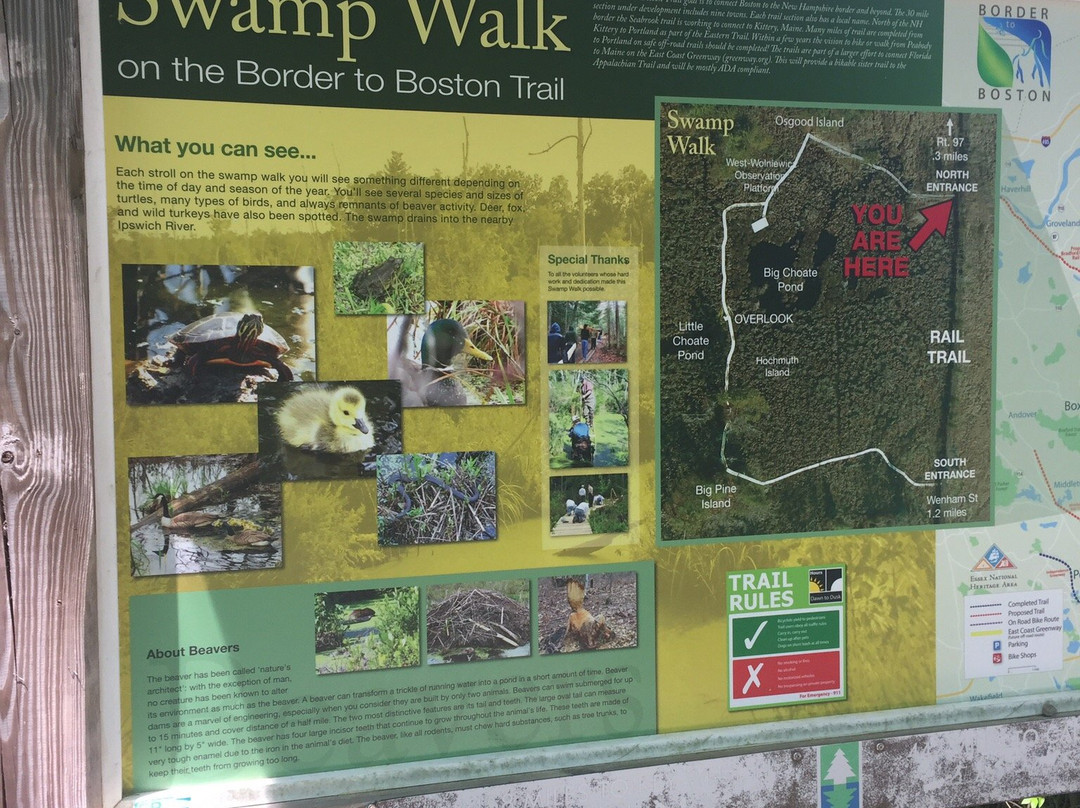 Danvers Wenham Swampwalk景点图片