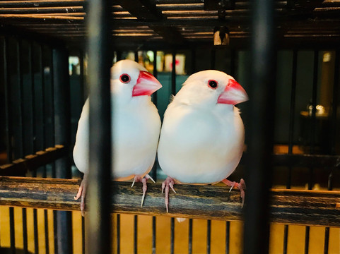 深圳回酒店主图