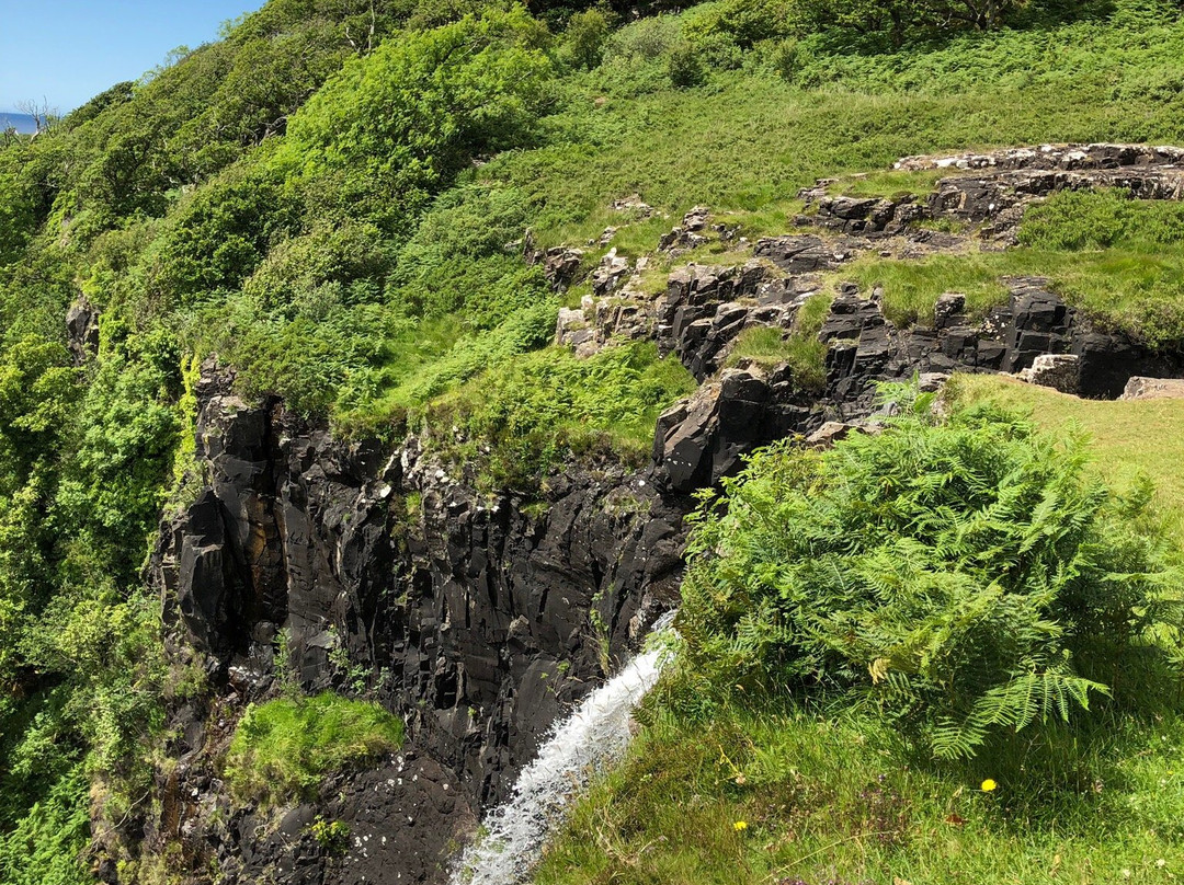 Discover Mull Tours景点图片