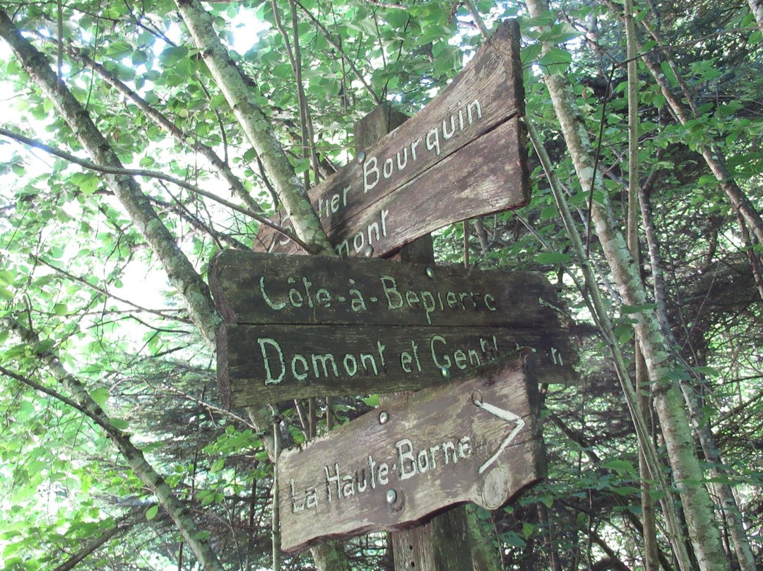 Côte-à-Bépierre-德莱蒙必去景点