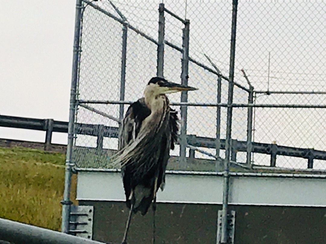 Clinton State Park-劳伦斯必去景点