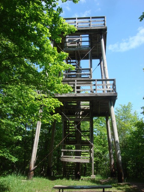 Mountain Park Lookout Tower景点图片