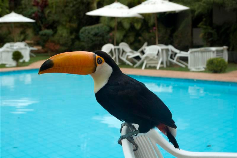 Estalagem Fazenda Lazer主图