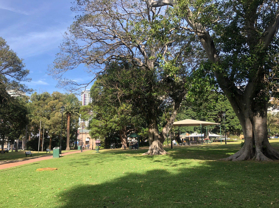 Burwood Park景点图片