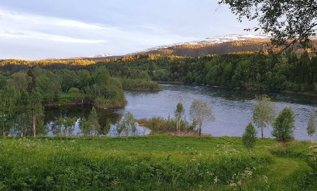 Haugen Camping