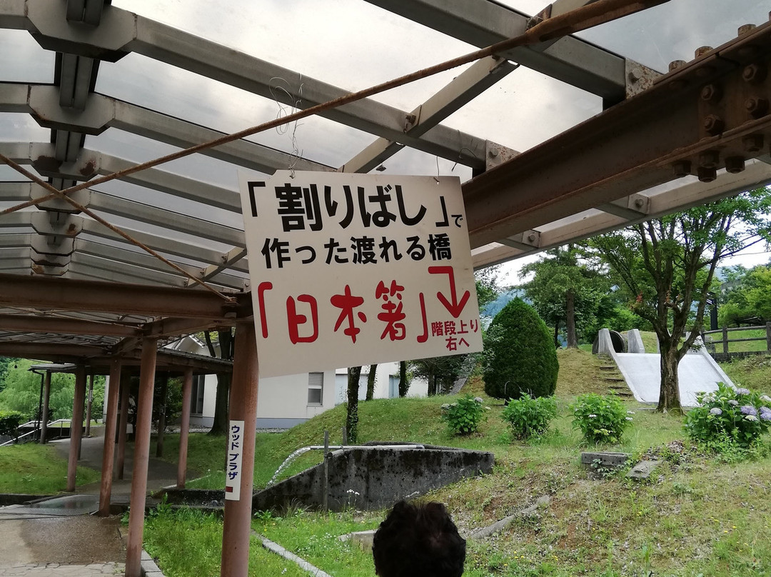 Shogawa Aqua Memorial Park景点图片