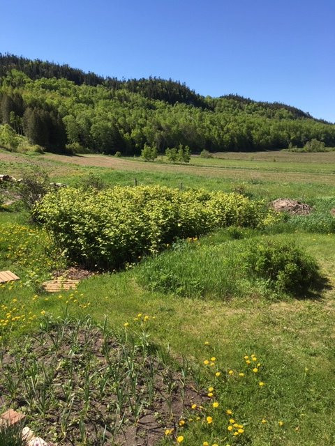 Auberge des Aboiteaux主图