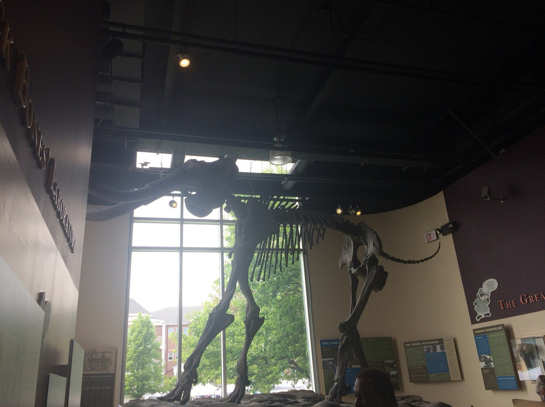 Kenosha Public Museum-基诺沙必去景点