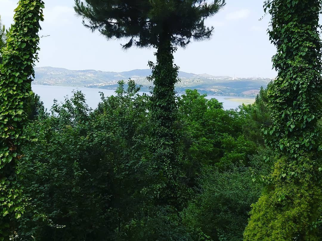 Sakarya Il Ormani Tabiat Parki-Sapanca必去景点