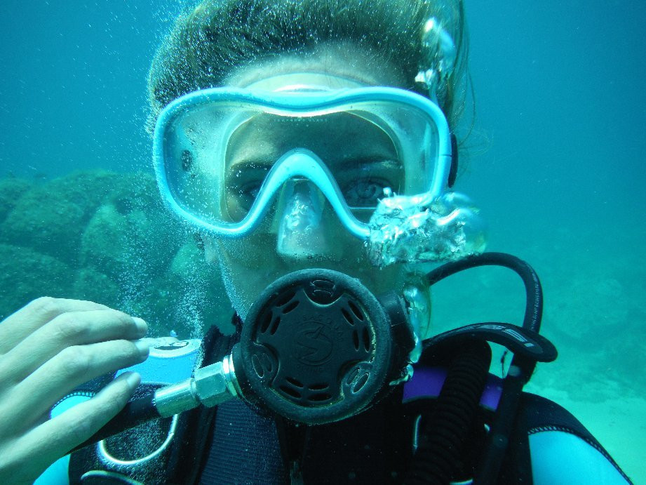 Dolphins Diving Center-犹兰特德玛必去景点