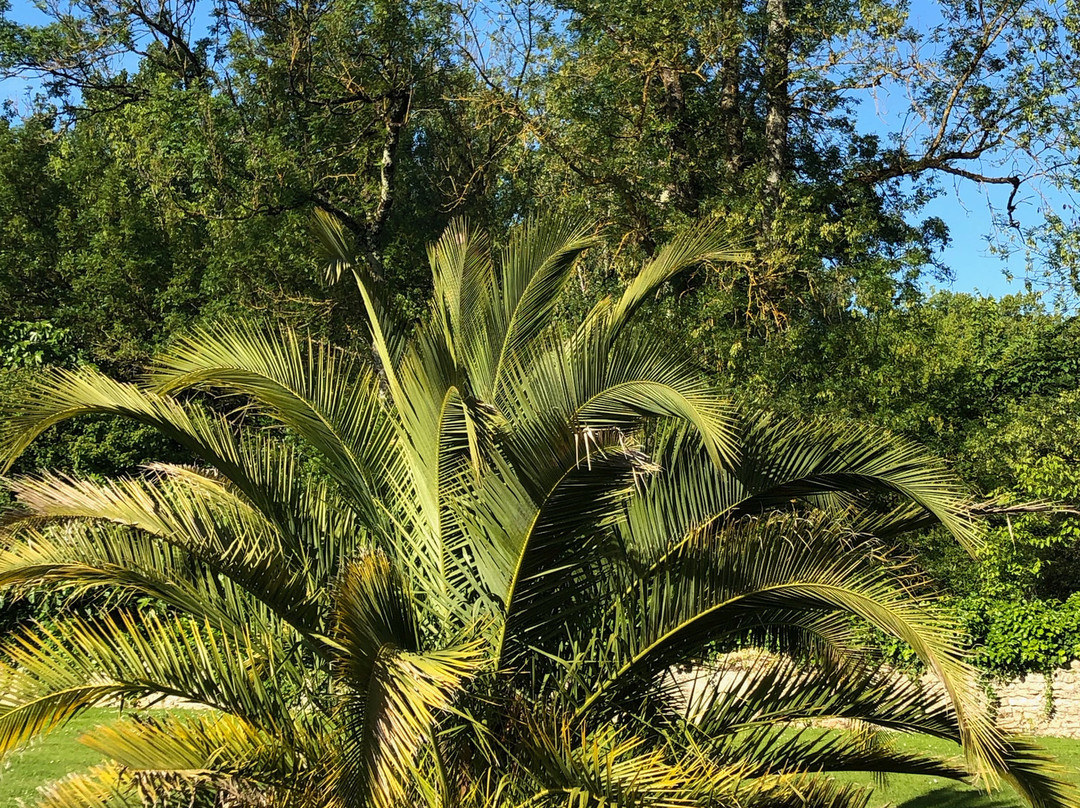 凯德斯波迪斯酒店主图