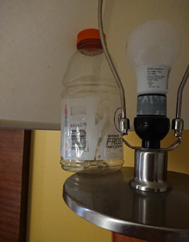 Best Western Lakewood Inn主图