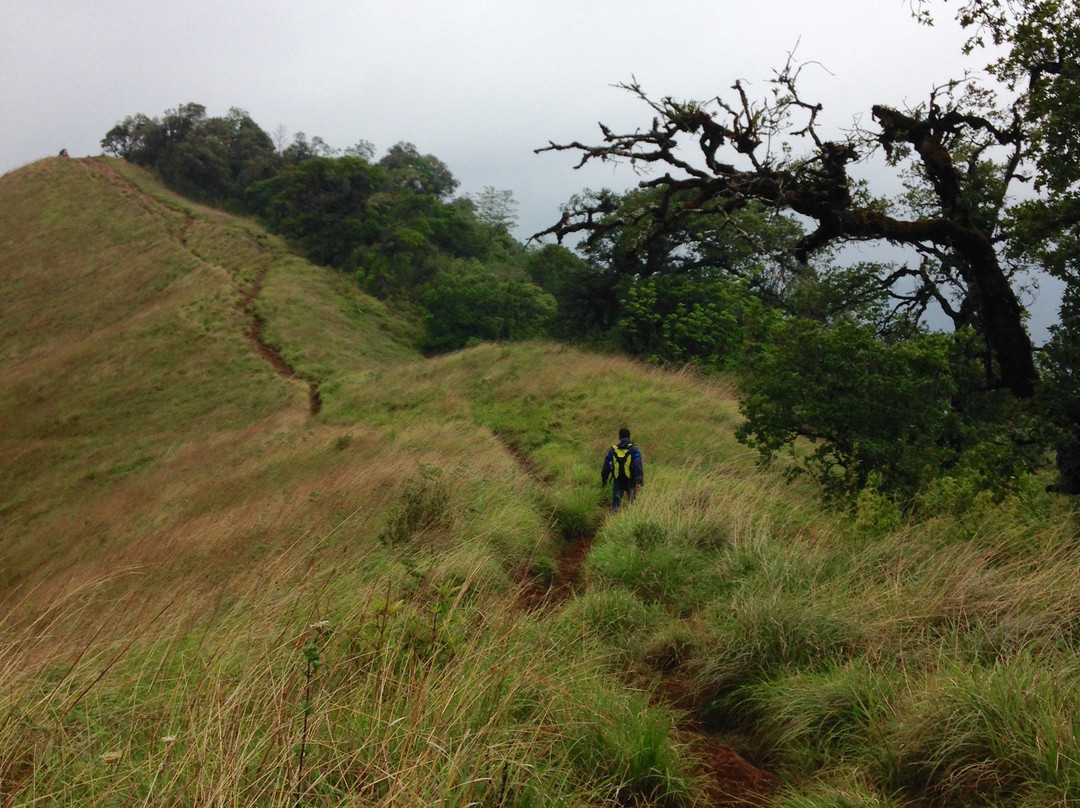 Shirui Kashung-Ukhrul必去景点