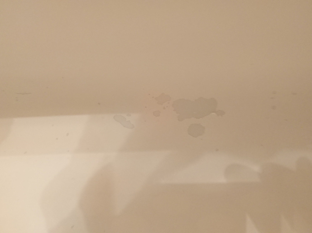 Hotel Silver Spring主图