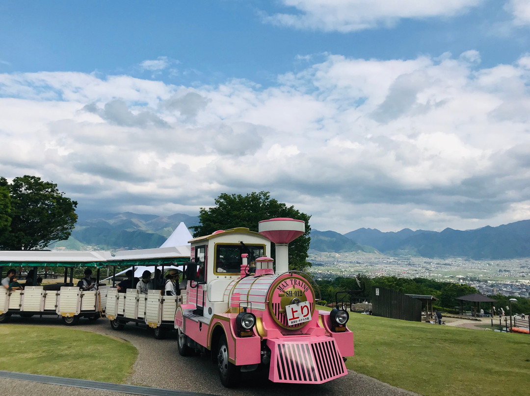 Fruit Park Fujiya Hotel主图
